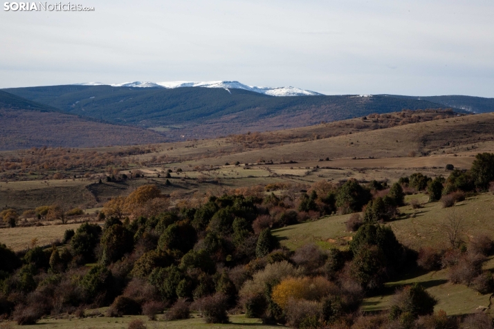 Acebal de Garagüeta