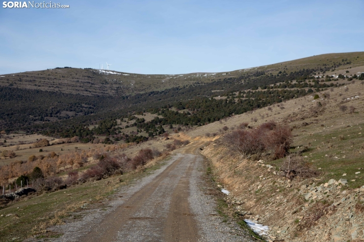 Acebal de Garagüeta