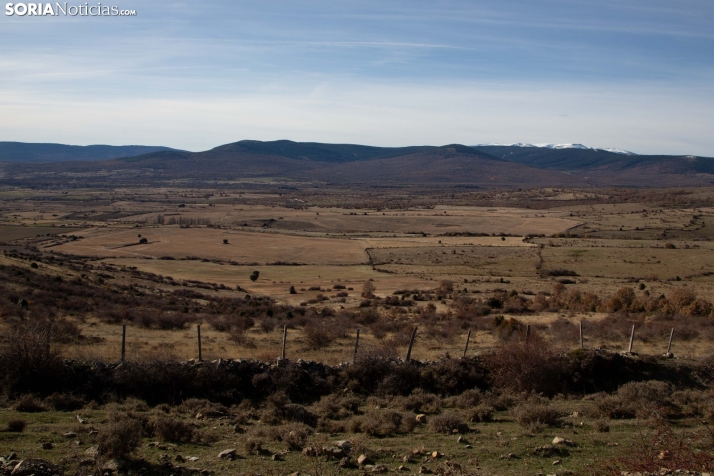 Acebal de Garagüeta