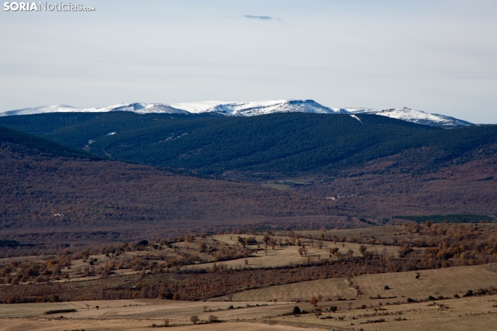 Acebal de Garagüeta