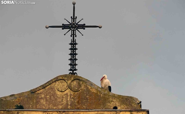 Morón, la más fría en los registros de la AEMET esta madrugada de Navidad