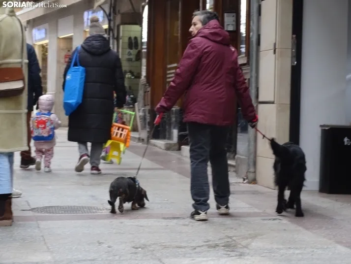 Una imagen del mediodía de Navidad en la capital soriana. /PC