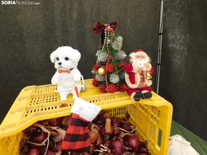 En im&aacute;genes: El esp&iacute;ritu navide&ntilde;o se apodera de Almaz&aacute;n con un mercadillo, concier