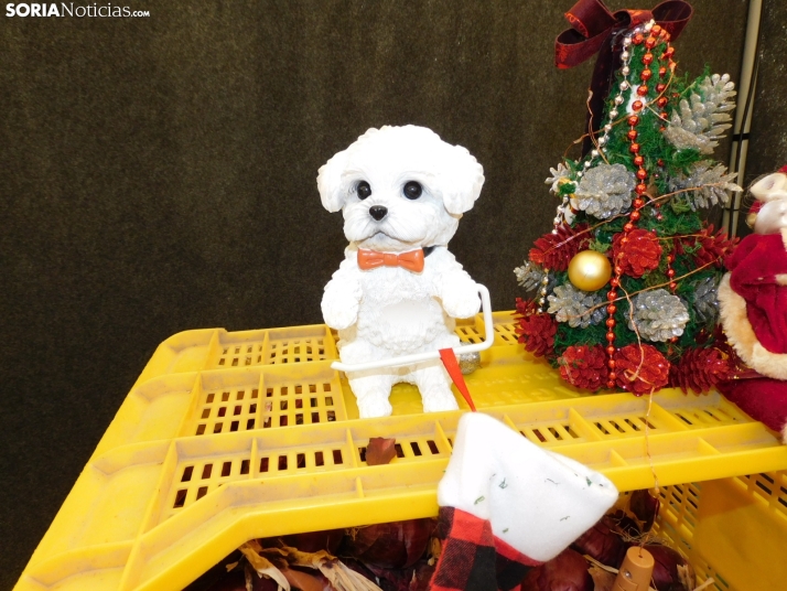 En im&aacute;genes: El esp&iacute;ritu navide&ntilde;o se apodera de Almaz&aacute;n con un mercadillo, concier