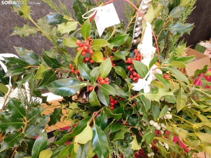 En im&aacute;genes: El esp&iacute;ritu navide&ntilde;o se apodera de Almaz&aacute;n con un mercadillo, concier