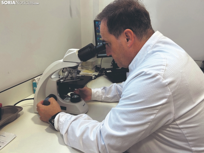 Hospital Latorre y un servicio de hematología puntero: citas, seguimiento y tratamientos