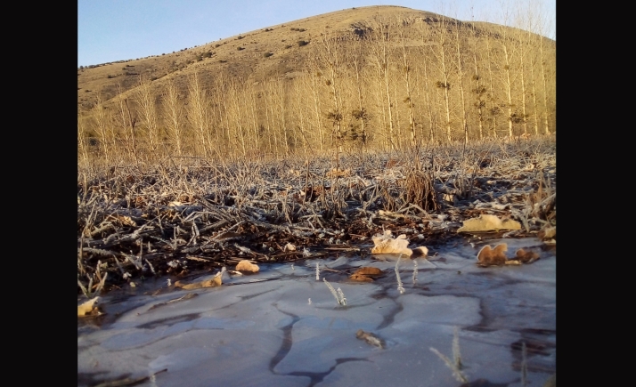 Paisaje invernal esta mañana de lunes en Espejo de Tera. /José Luis Valer