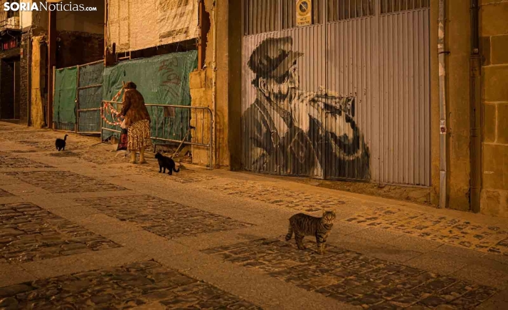 El método CER logra controlar el 90 % de las colonias de gatos de la capital y se expande a las pedanías