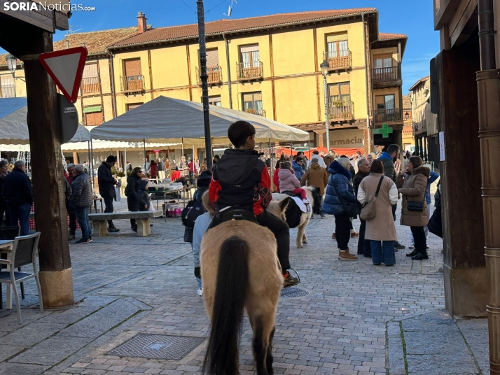 GALER&Iacute;A | Fig&oacute;n y mucha artesan&iacute;a en Berlanga