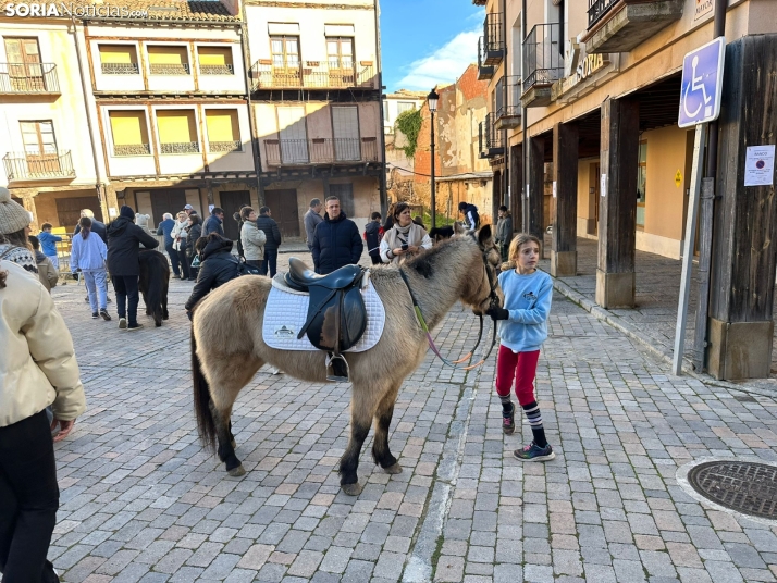 GALER&Iacute;A | Fig&oacute;n y mucha artesan&iacute;a en Berlanga