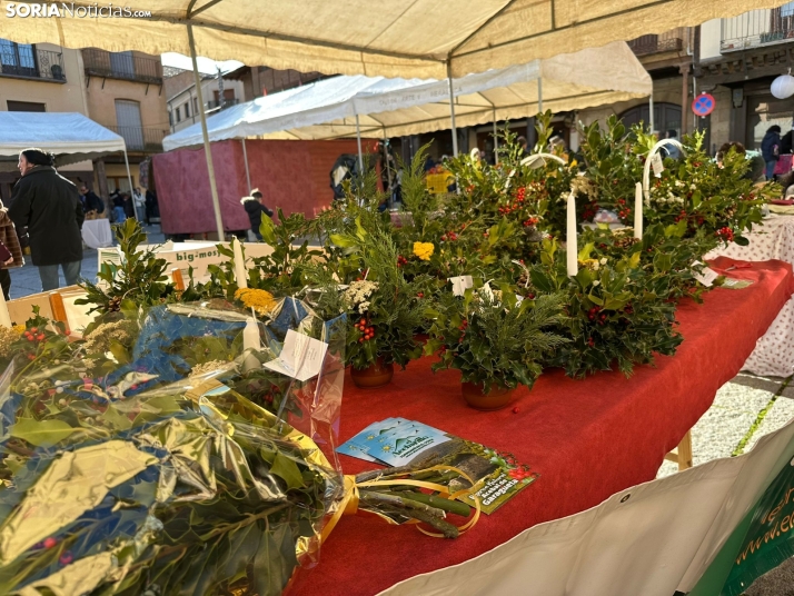 GALER&Iacute;A | Fig&oacute;n y mucha artesan&iacute;a en Berlanga