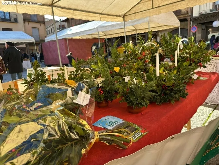 GALER&Iacute;A | Fig&oacute;n y mucha artesan&iacute;a en Berlanga