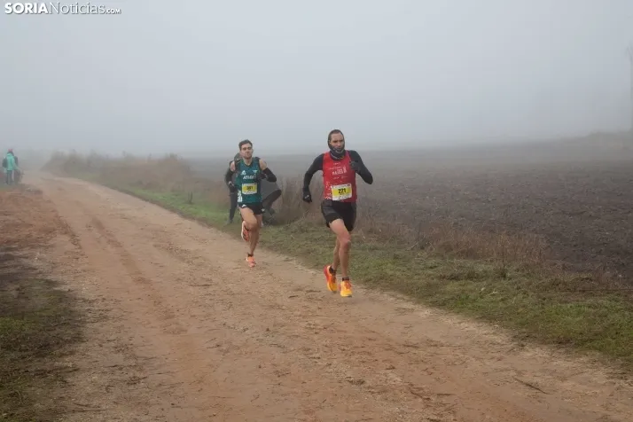 Legua y Media de Bayubas de Abajo