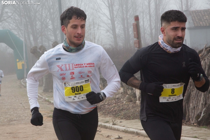 Legua y Media de Bayubas de Abajo