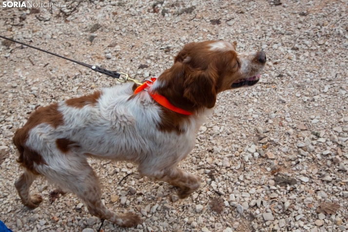 Mundial Caza Salvaje