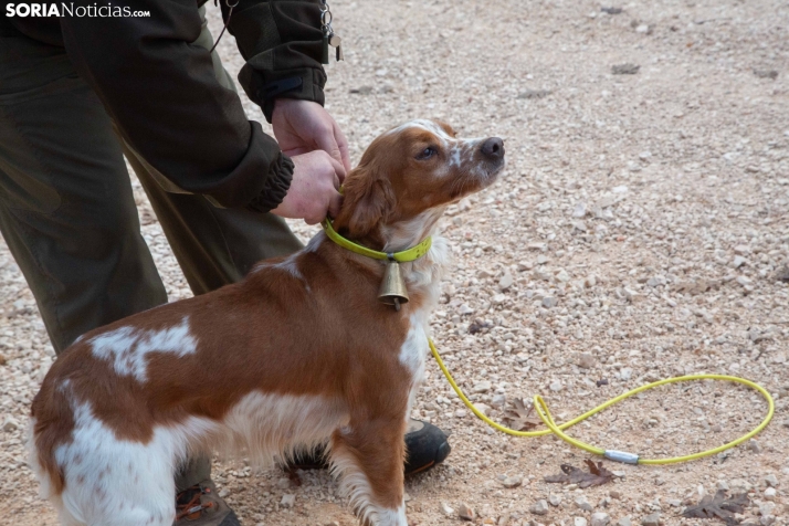 Mundial Caza Salvaje