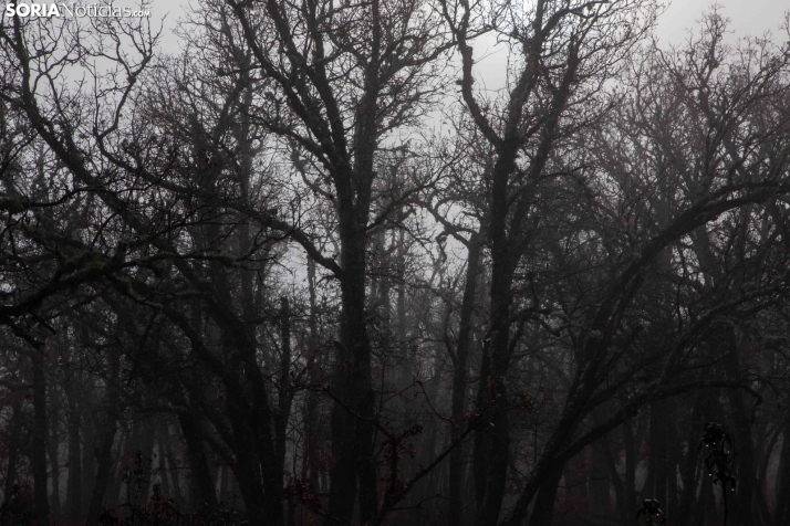 Mundial Caza Salvaje