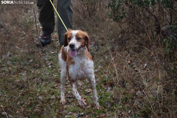 Mundial Caza Salvaje