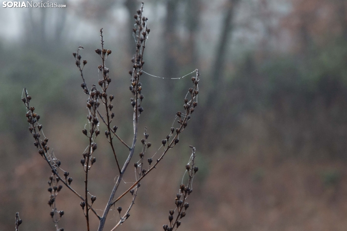 Mundial Caza Salvaje