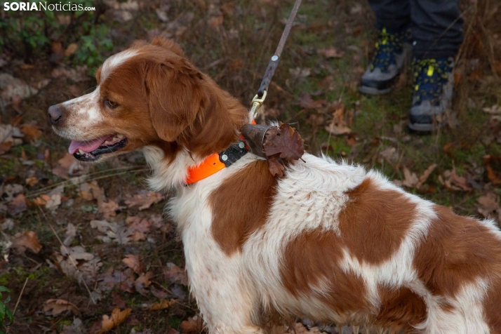 Mundial Caza Salvaje