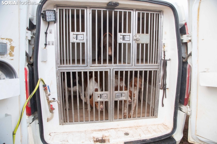 Mundial Caza Salvaje