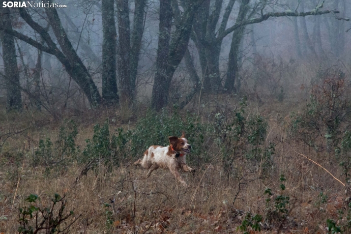 Mundial Caza Salvaje