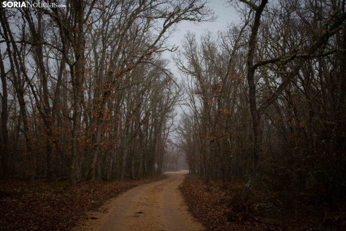 Mundial Caza Salvaje