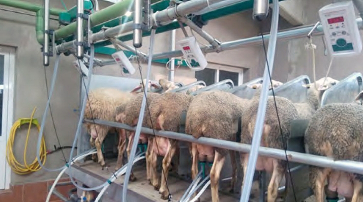 Castilla y León busca reducir un 12 % la huella de carbono en la producción de leche de oveja