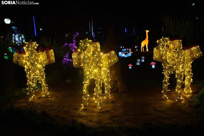 Zoo Luminoso