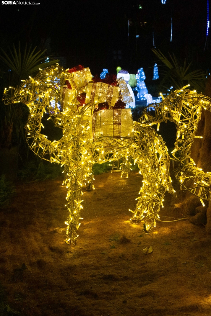 Zoo Luminoso