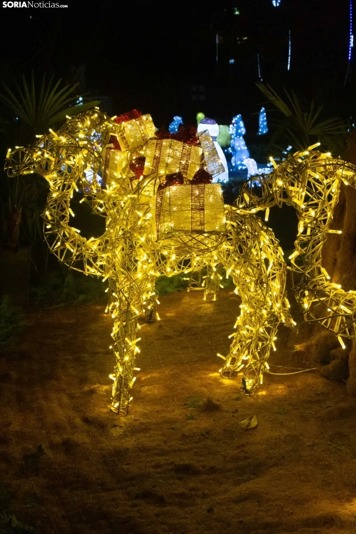 Zoo Luminoso