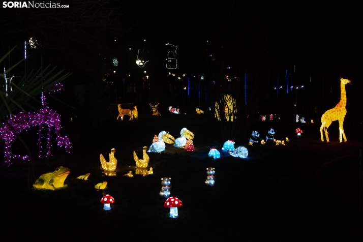 Zoo Luminoso
