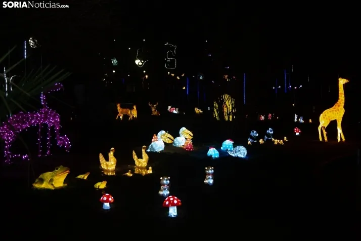Zoo Luminoso