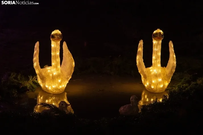 Zoo Luminoso