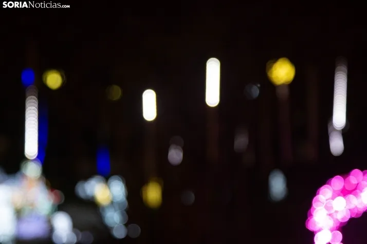 Zoo Luminoso