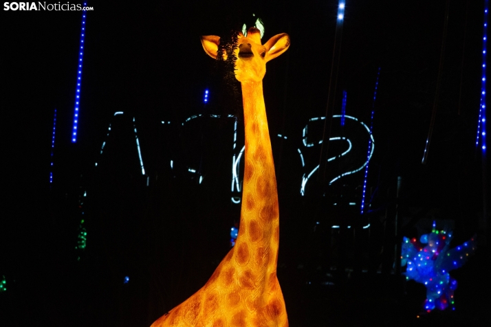 Zoo Luminoso