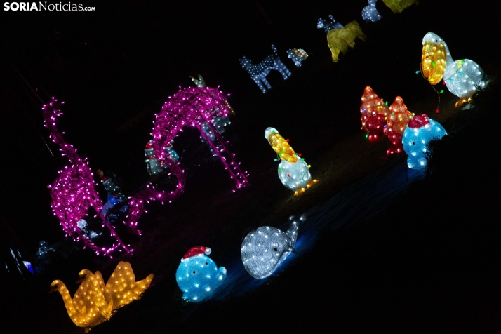 Zoo Luminoso