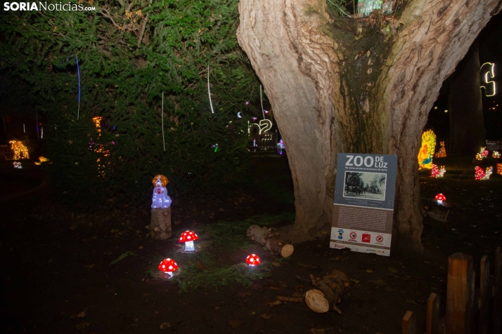 Zoo Luminoso