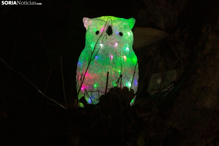 Zoo Luminoso