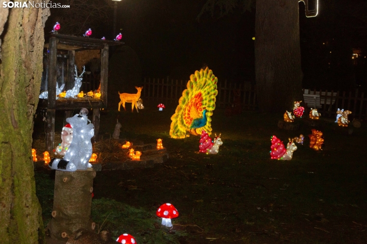Zoo Luminoso
