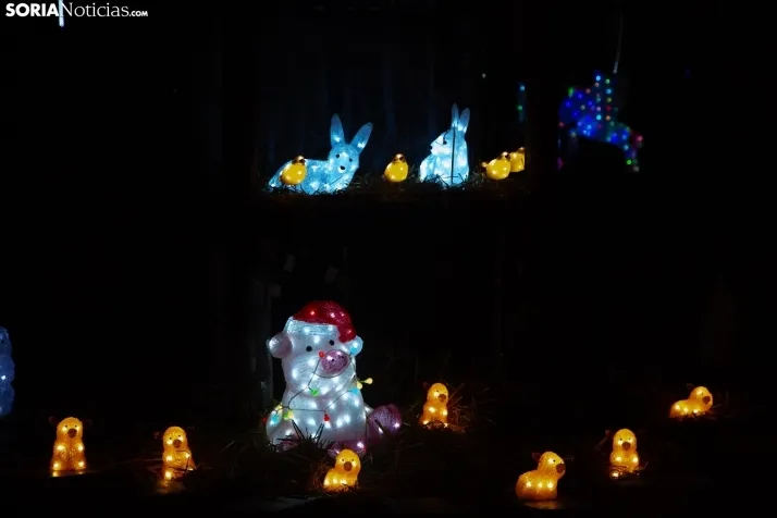 Zoo Luminoso
