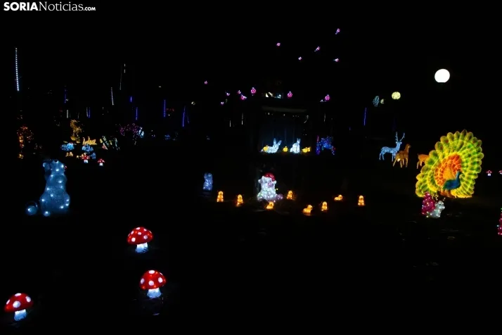 Zoo Luminoso
