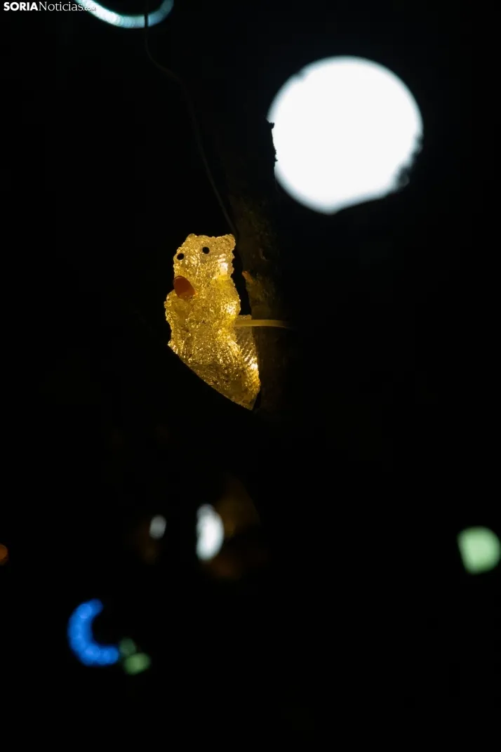 Zoo Luminoso