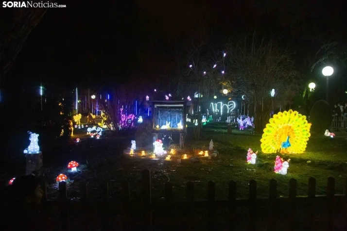 Zoo Luminoso