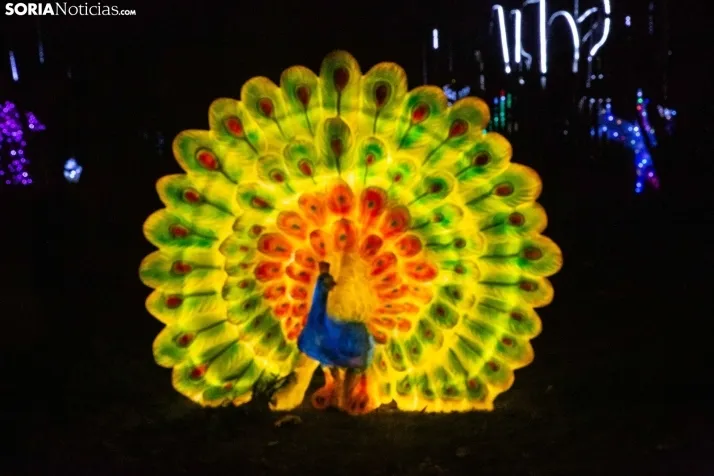 Zoo Luminoso
