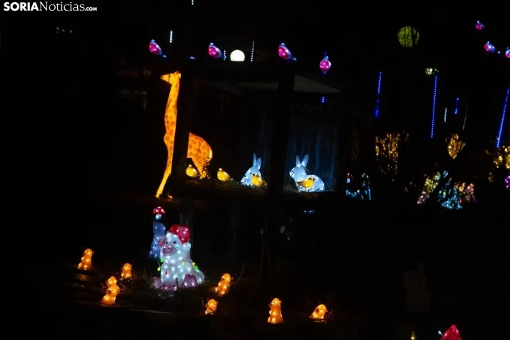 Zoo Luminoso