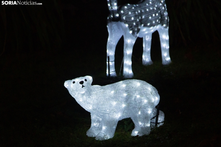 Zoo Luminoso