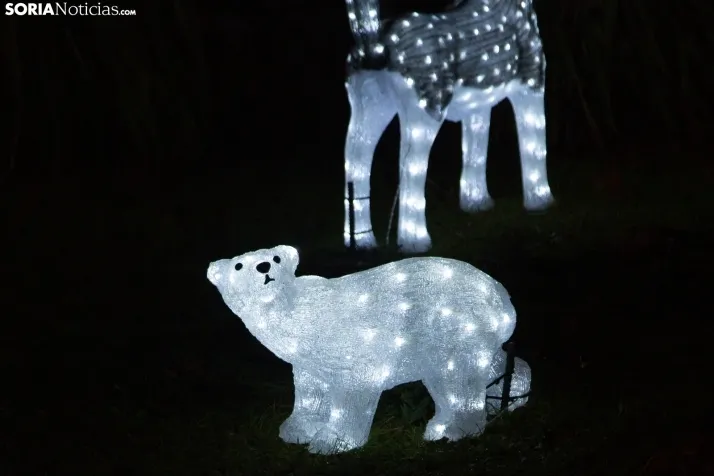 Zoo Luminoso