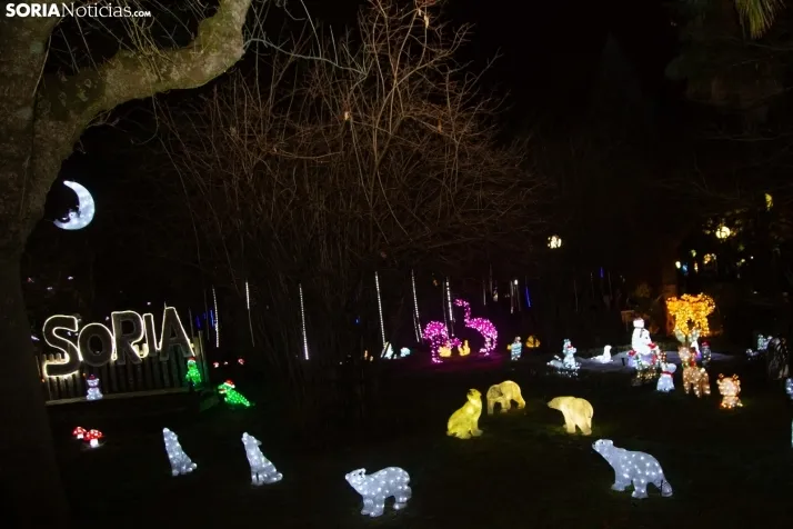 Zoo Luminoso