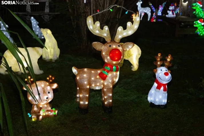 Zoo Luminoso
